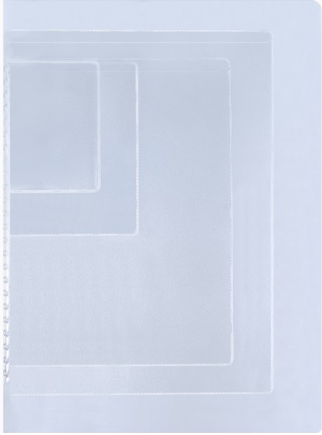 Папка органайзер для 1 компл.док, без отдела для паспорта, апельсин 100 мкм, ПА-2626