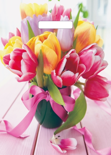 Пакет ПЭ с вырубной ручкой 29х40 см (х50) (Сиеста), ВУР55134