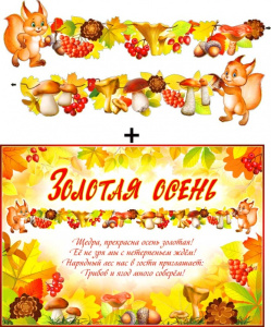 ae1bf27a-9a1f-11e8-b1bf-1cc1dee987cb_c62575d2-9a29-11e8-b1bf-1cc1dee987cb.resize1