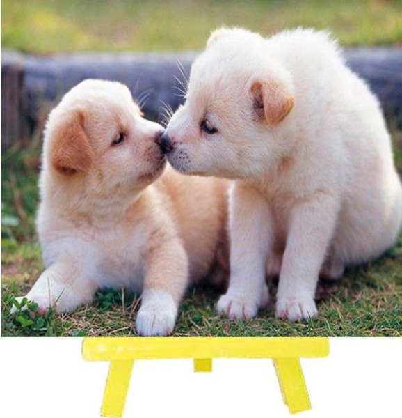 Алмазная мозаика с мольбертом, 'Щенячьи нежности', 21х25 см, частичная выкладка, M-10345